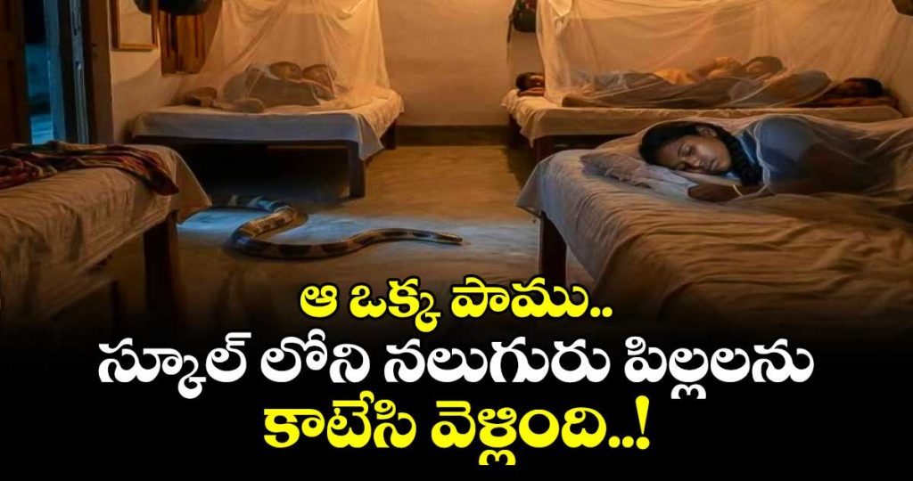 snake-bites-4-students-in-school-hostel_LwtHuG07Dh