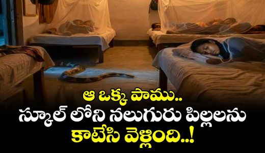 snake-bites-4-students-in-school-hostel_LwtHuG07Dh