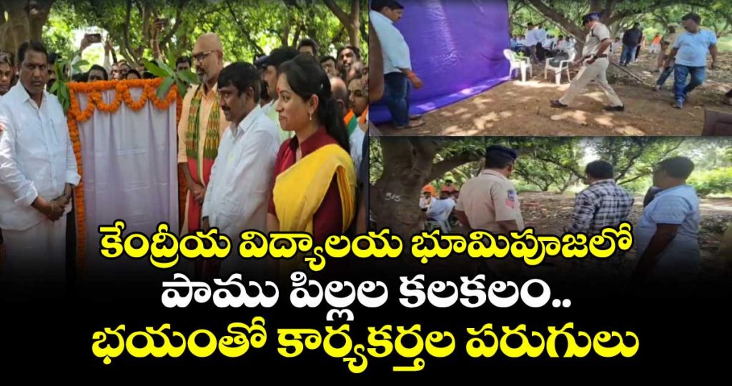 snake-hatchlings-cause-brief-panic-at-kendriya-vidyalaya-foundation-ceremony-in-jagtial_xvQtr20ESl