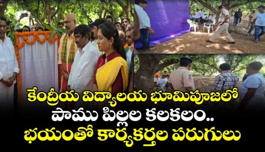 snake-hatchlings-cause-brief-panic-at-kendriya-vidyalaya-foundation-ceremony-in-jagtial_xvQtr20ESl