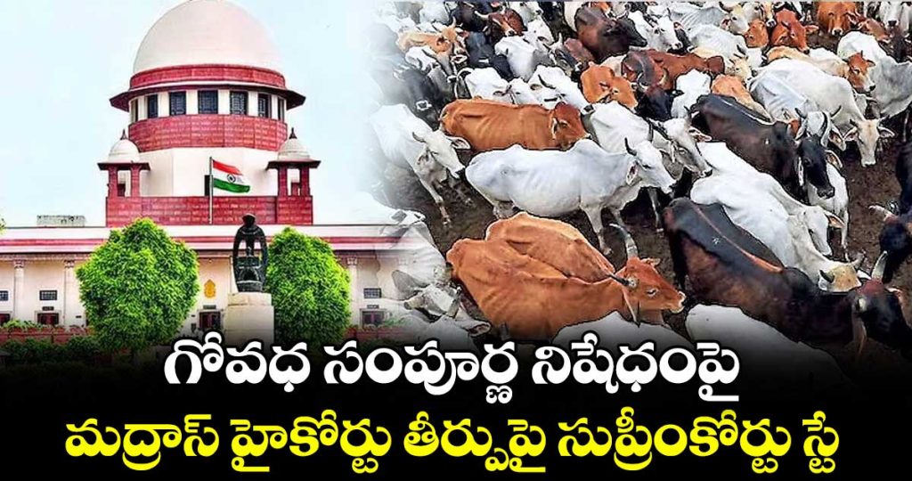 supreme-court-stays-madras-high-courts-blanket-ban-on-cow-slaughter-in-public-spaces_AteViWLHvY