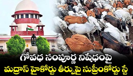 supreme-court-stays-madras-high-courts-blanket-ban-on-cow-slaughter-in-public-spaces_AteViWLHvY