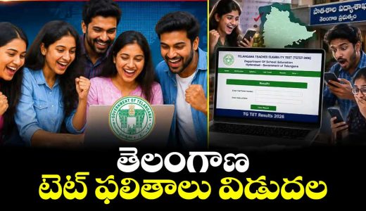 telangana-tet-results-released_gn9X4S8jCW