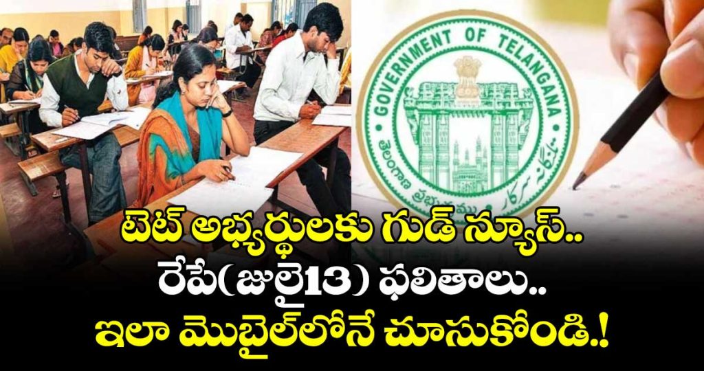 tet-results-to-be-released-tomorrow-says-education-department_gJoUKhNbt0
