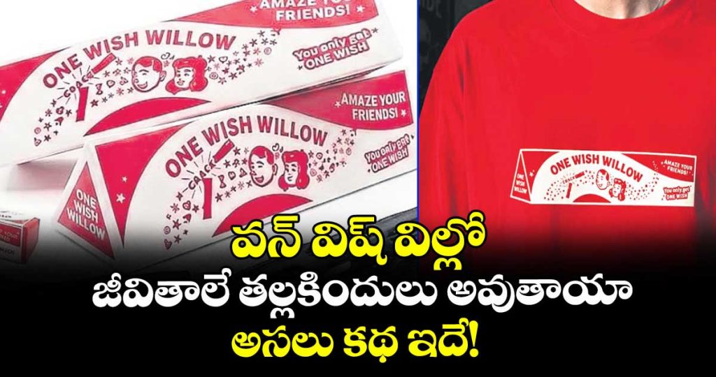 viral-of-one-wish-life-story-it-is-real-story_eWKxFuIrMq