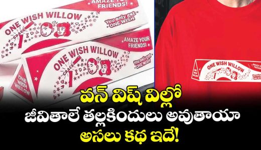 viral-of-one-wish-life-story-it-is-real-story_eWKxFuIrMq