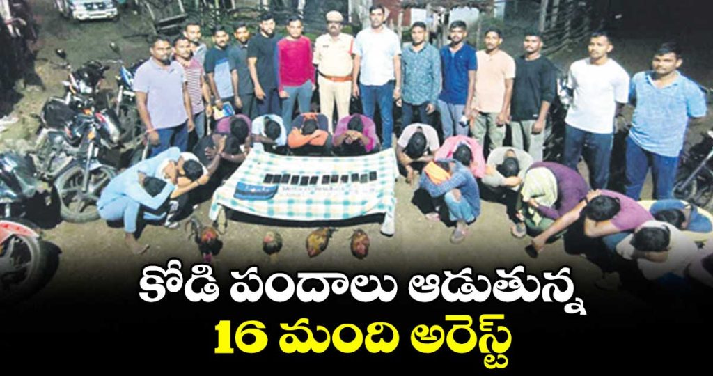 16-arrested-in-mancherial-cockfighting-raid-18-bikes-and-cash-seized_4s9nqMru5S