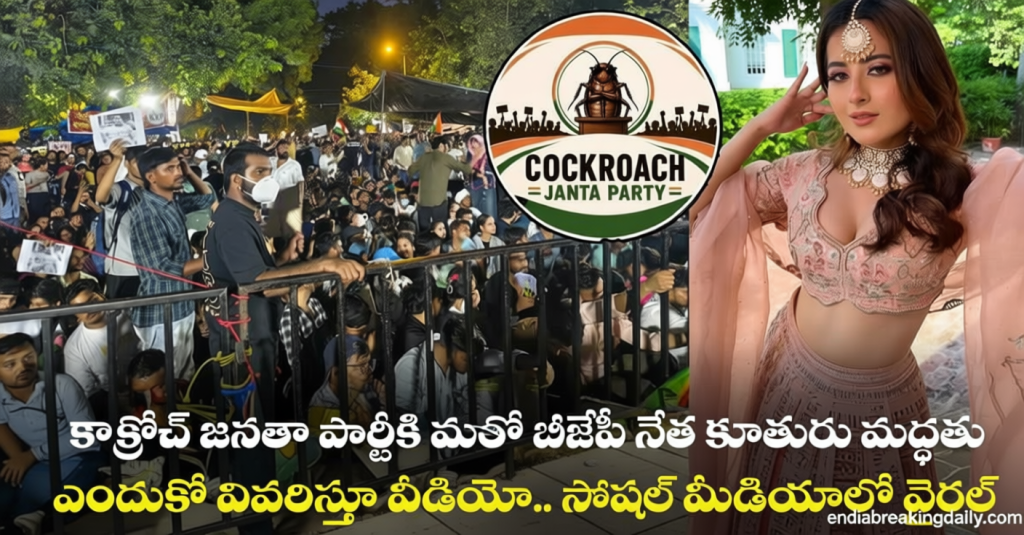 94695d11-7535-4cfa-ac8c-c0d4434d4d1d-0