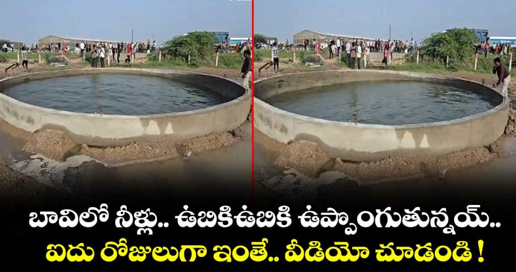 an-18-foot-deep-farm-well-in-gujarats-morbi-district-surprised-locals_J4ZoK75AiY