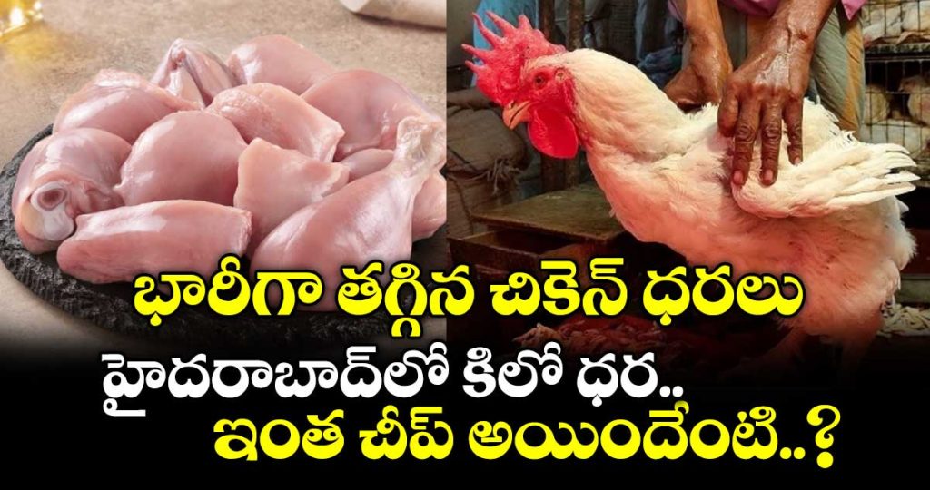 chicken-prices-fall-sharply-with-advent-of-holy-shravana-month_Bt5ArSn7C0