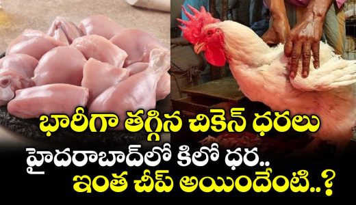 chicken-prices-fall-sharply-with-advent-of-holy-shravana-month_Bt5ArSn7C0