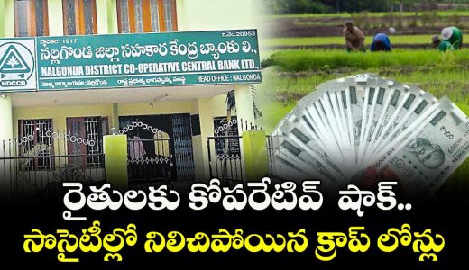 crop-loan-crisis-hits-nalgonda-farmers-amid-dccb-fund-shortage_fSaTQCEY3l