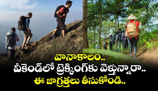 experts-advise-those-going-trekking-to-follow-certain-precautions_2lWogMcASF