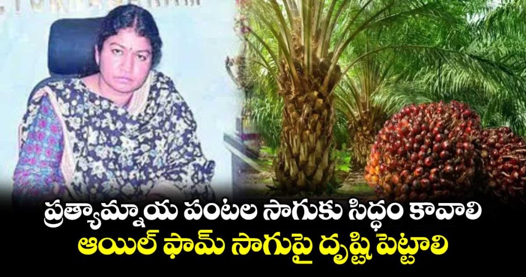 farmers-focus-on-alternative-crops-say-karimnagar-collector-chitra-misra_VXbYgSBn1K