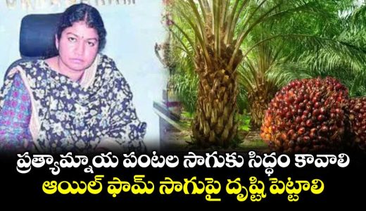 farmers-focus-on-alternative-crops-say-karimnagar-collector-chitra-misra_VXbYgSBn1K