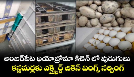 food-safety-officials-raid-theobroma-central-kitchen-in-amberpet-uncover-severe-violations_VJiSfW3RDx