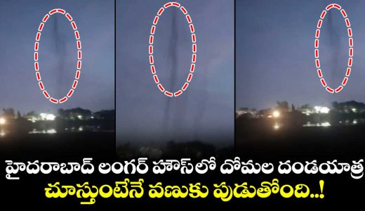 mosquito-menace-reported-in-langerhouz-of-hyderabad_eP5KcDv24S