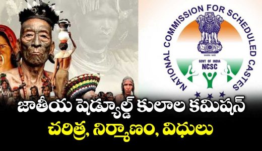 national-commission-for-scheduled-castes-ncsc-history-structure-constitutional-provisions_yf10BouMHs