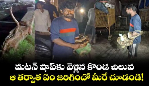 python-enters-up-meat-shop-to-hunt-goat-drunk-man-wraps-it-around-his-neck_eGqhIKiz2c