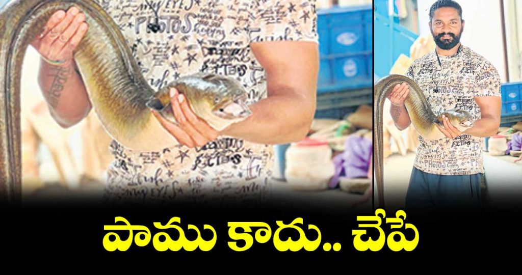rare-9-kg-snake-like-malugu-fish-caught-at-koilsagar-project-_V6mDCK3U4G