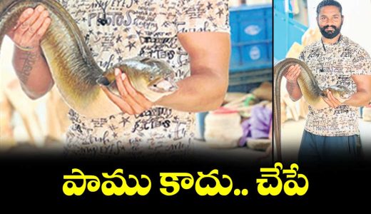 rare-9-kg-snake-like-malugu-fish-caught-at-koilsagar-project-_V6mDCK3U4G