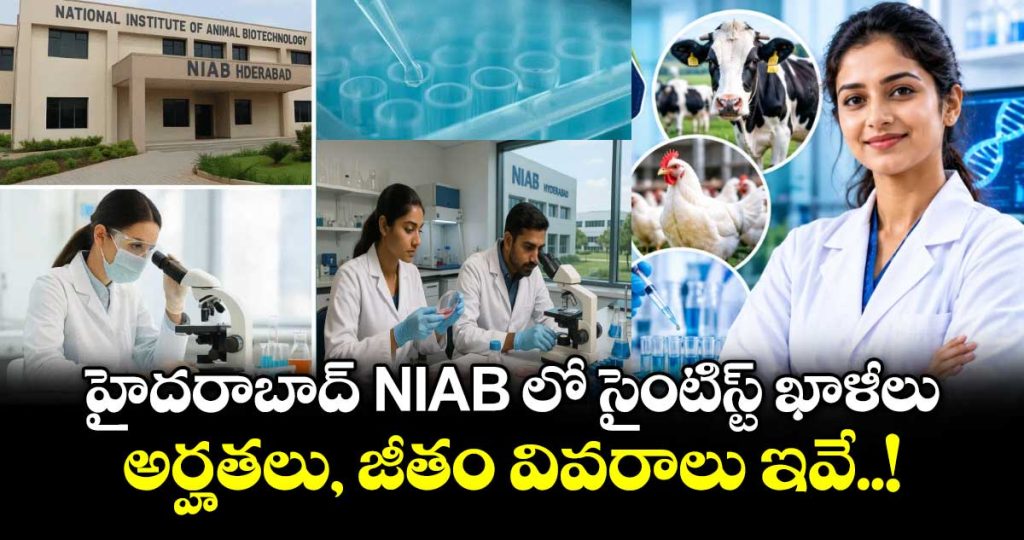 scientist-vacancies-at-niab-hyderabad_w9Bsbu5kR8