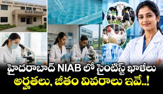 scientist-vacancies-at-niab-hyderabad_w9Bsbu5kR8