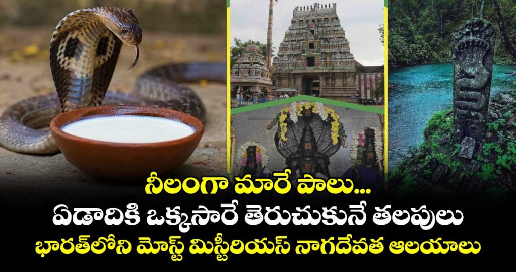 somewhere-the-milk-turns-blue-while-others-open-only-once-a-year-5-amazing-snake-temples-in-india_mUjxCvHLn4