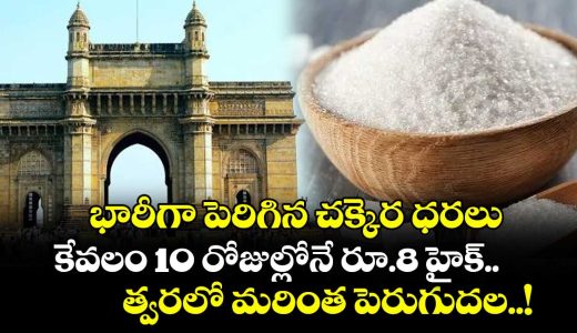 sugar-prices-have-risen-sharply-in-mumbai_N6yEGKJd4l