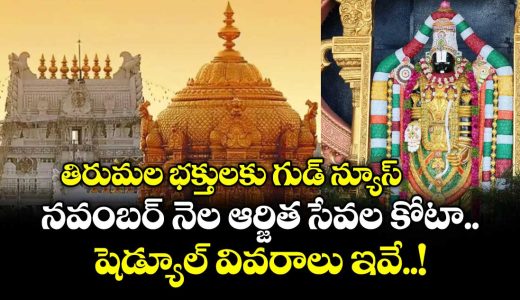 tirumala-lord-venkateswaraswamy-darshan-november-months-tickets-release-schedule-details-here_ZgBE9yXp3H