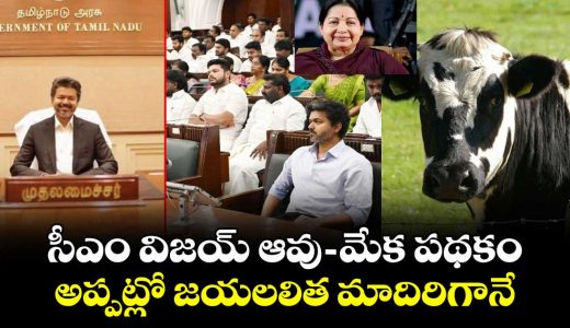 tn-budget-2026-jayalalithaa-s-free-milch-cow-scheme-revived-goat-rearing-programme-for-women-launched_UEywCLBZ2r