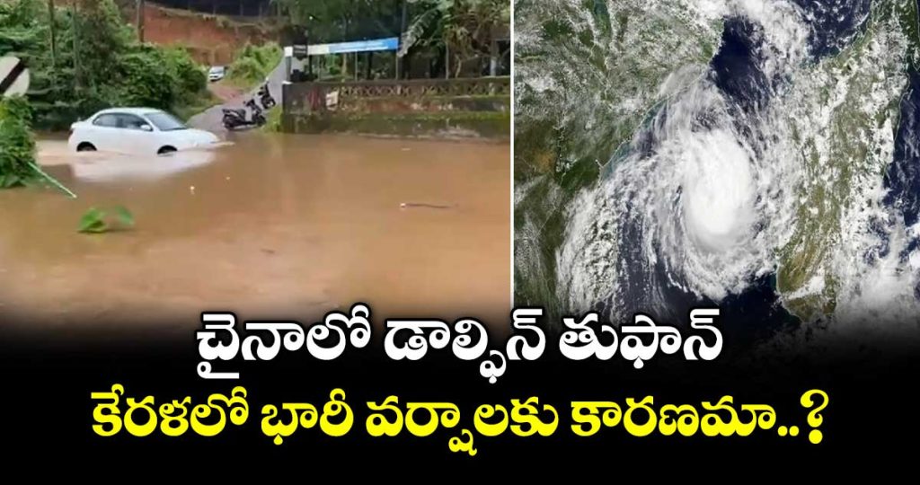 typhoon-dolphins-distant-influence-partly-driving-torrential-rain-in-kerala-_CptEaUbgNR