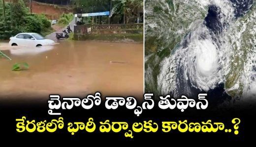 typhoon-dolphins-distant-influence-partly-driving-torrential-rain-in-kerala-_CptEaUbgNR