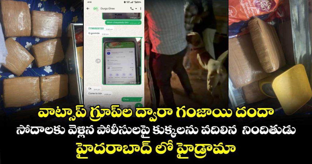whatsapp-group-drug-racket-busted-eagle-force-seizes-14-kgs-of-ganja-in-hyderabad_SINlwTkjJ5
